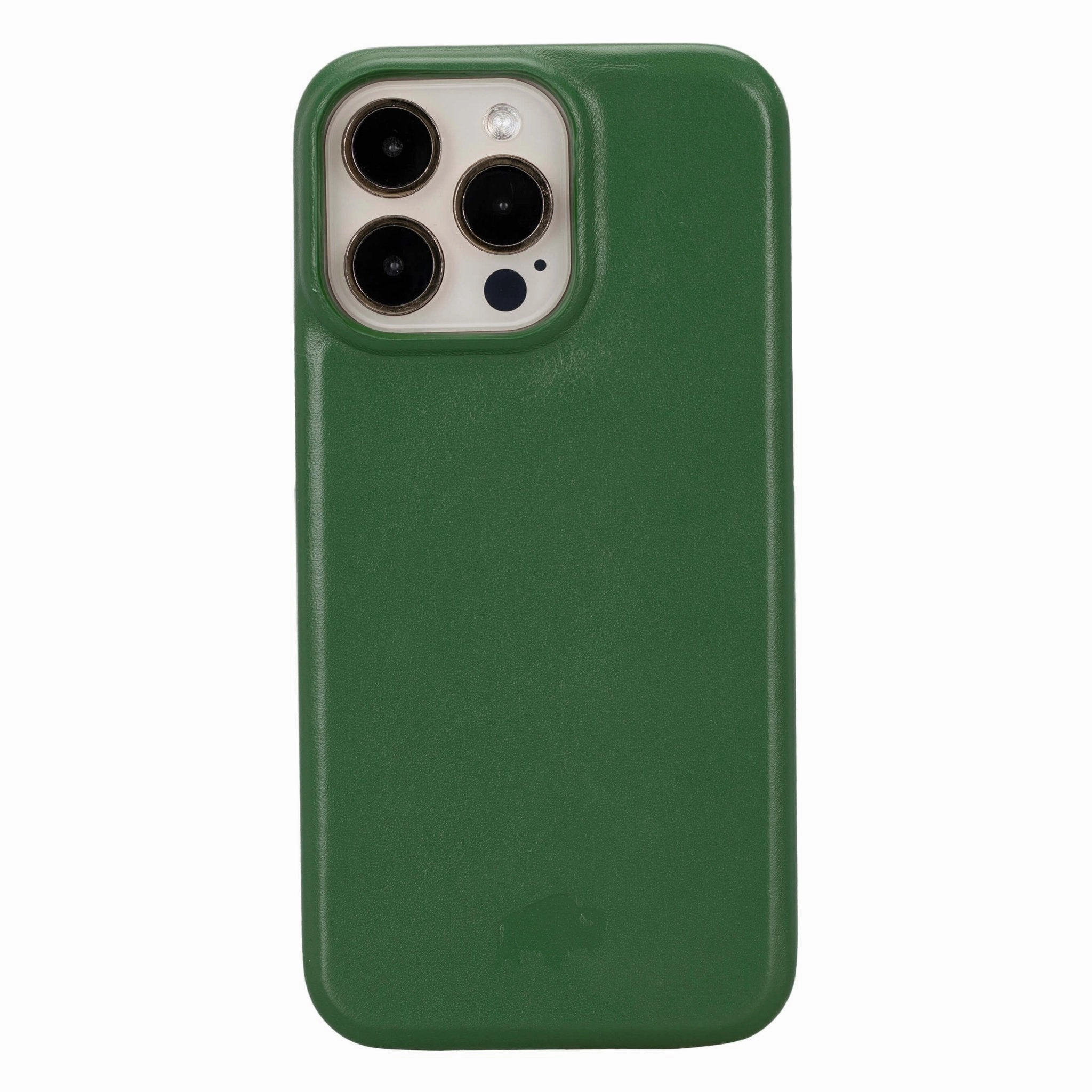 Color Finish Matte Coating Mason Full-Grain Leather MagSafe Case ?C iPhone 15 Pro Max, Soft Green